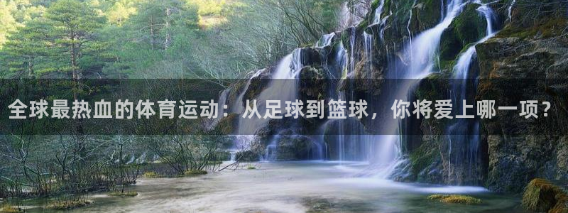 全球最热血的体育运动：从足球到篮球，你将爱上哪一项？