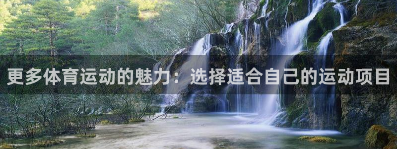 更多体育运动的魅力：选择适合自己的运动项目