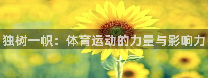 独树一帜：体育运动的力量与影响力