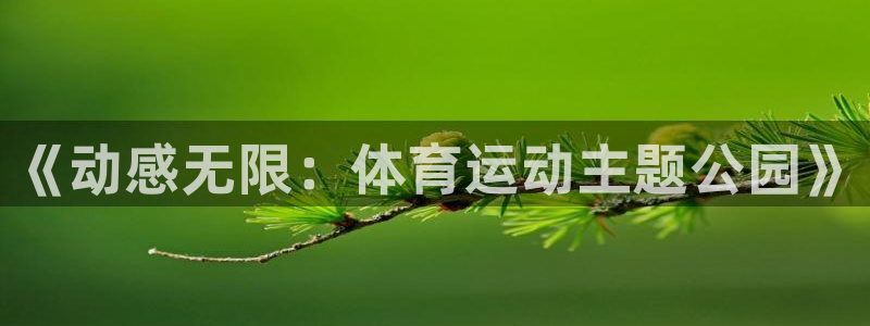 《动感无限：体育运动主题公园》