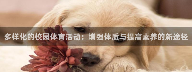多样化的校园体育活动：增强体质与提高素养的新途径
