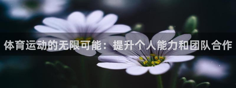 体育运动的无限可能：提升个人能力和团队合作
