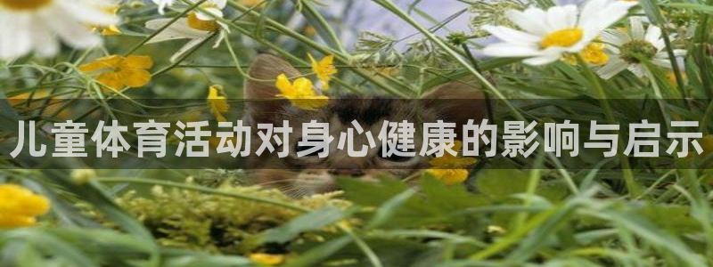 儿童体育活动对身心健康的影响与启示