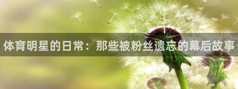 体育明星的日常：那些被粉丝遗忘的幕后故事
