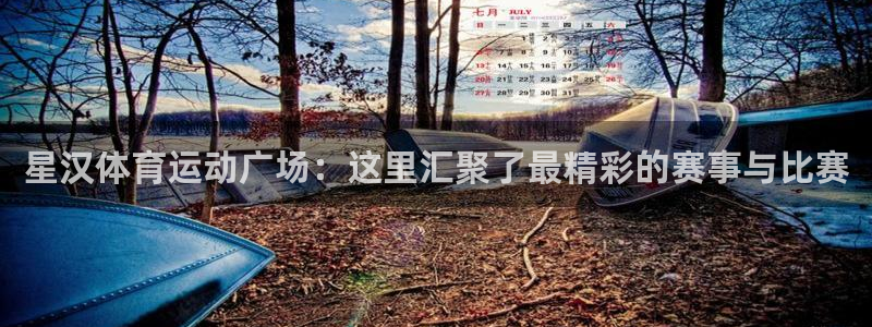 星汉体育运动广场：这里汇聚了最精彩的赛事与比赛