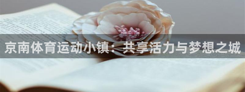 京南体育运动小镇：共享活力与梦想之城