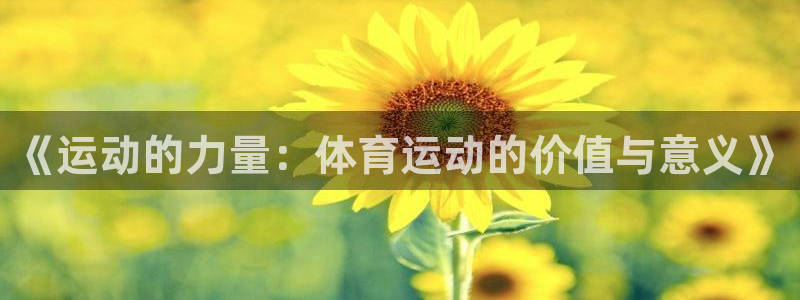 《运动的力量：体育运动的价值与意义》