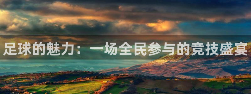 足球的魅力：一场全民参与的竞技盛宴